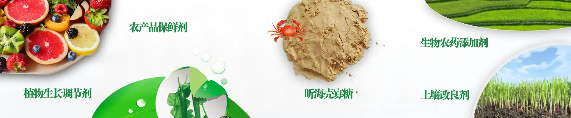 Agricultural-grade chito-oligosaccharides