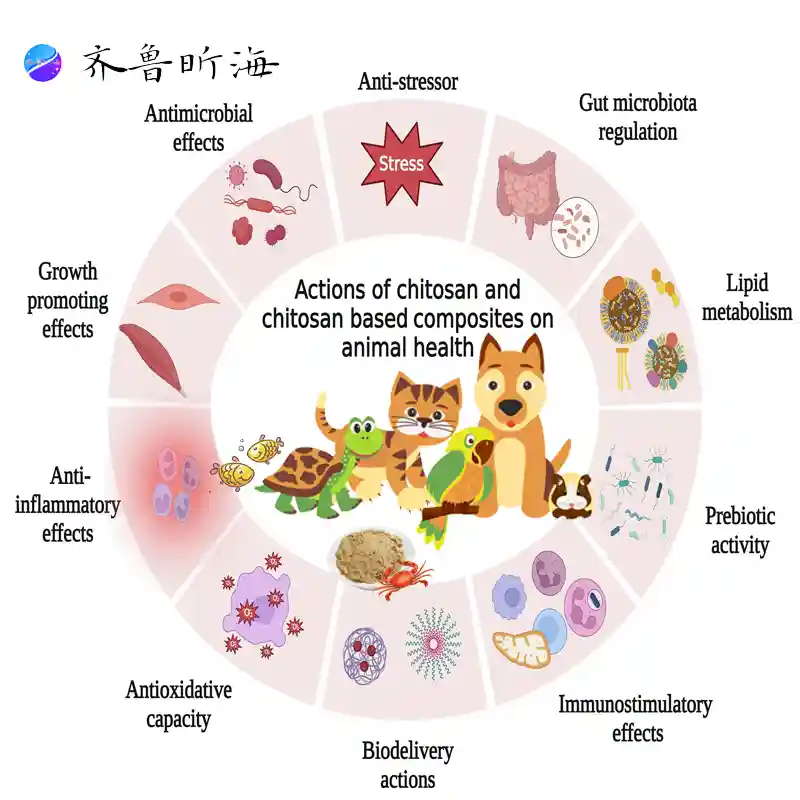 Pet chito-oligosaccharides