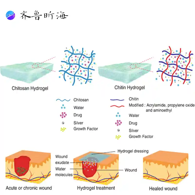Chito-oligosaccharide for wound care