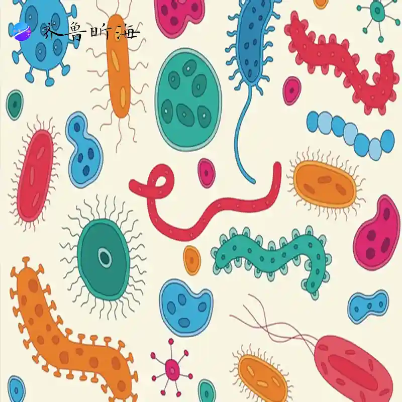 Probiotics, gut health, chito-oligosaccharides